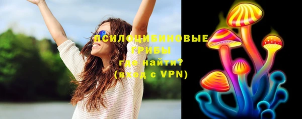 гашик Алексеевка