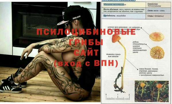 первитин Алзамай