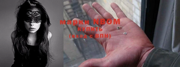 гашик Алексеевка
