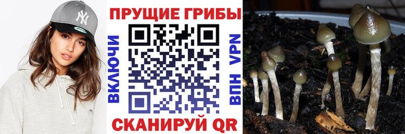 Псилоцибиновые грибы MAGIC MUSHROOMS купить сайты Североуральск
